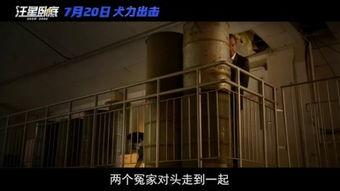 国产a级电影  第3张