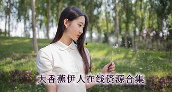 国产色伊人,探寻东方美学的独特魅力  第2张