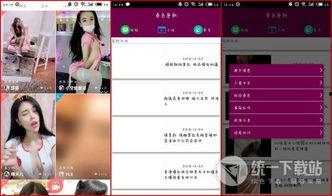 唐朝tv国产免费,国产免费影视盛宴，尽享视听新体验  第1张