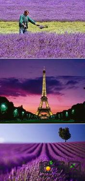 色一色国产  第2张