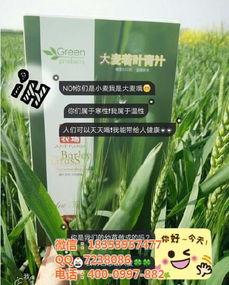 久久国产青,久久青生成新时代文化新风尚 第1张 久久国产青,久久青生成新时代文化新风尚 第1张