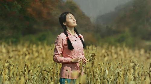 青青草国产电影,国产电影中的青春记忆与成长轨迹 第1张 青青草国产电影,国产电影中的青春记忆与成长轨迹 第1张