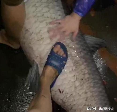 青鱼视频国产3,探索青春光影下的情感世界 第1张 青鱼视频国产3,探索青春光影下的情感世界 第1张