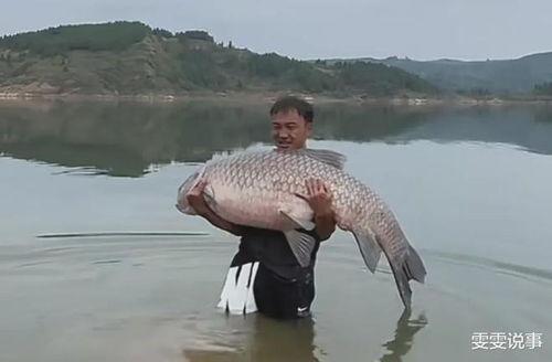 青鱼视频国产3,探索青春光影下的情感世界 第2张 青鱼视频国产3,探索青春光影下的情感世界 第2张