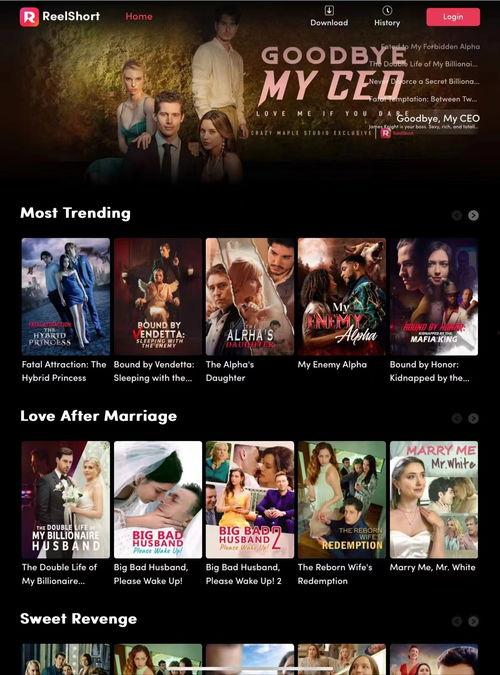 国产在线在线,引领潮流的本土创新力量  第2张