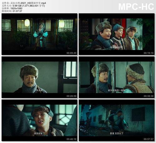 国产片国语版,跨越语言障碍，感受本土文化魅力  第3张