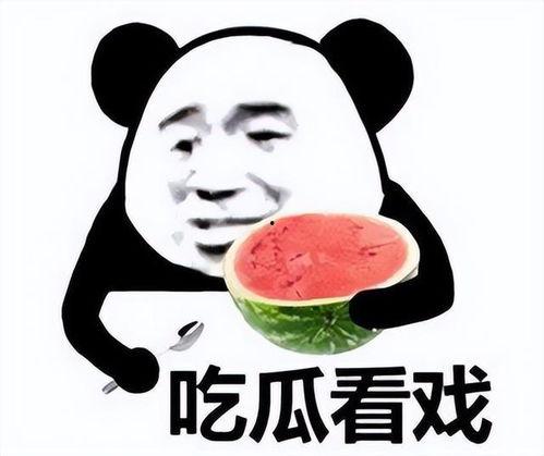坐等吃瓜表情包图片可爱,坐等吃瓜表情包的可爱魅力